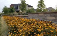 Masonry Feature with Bloomed Flowers